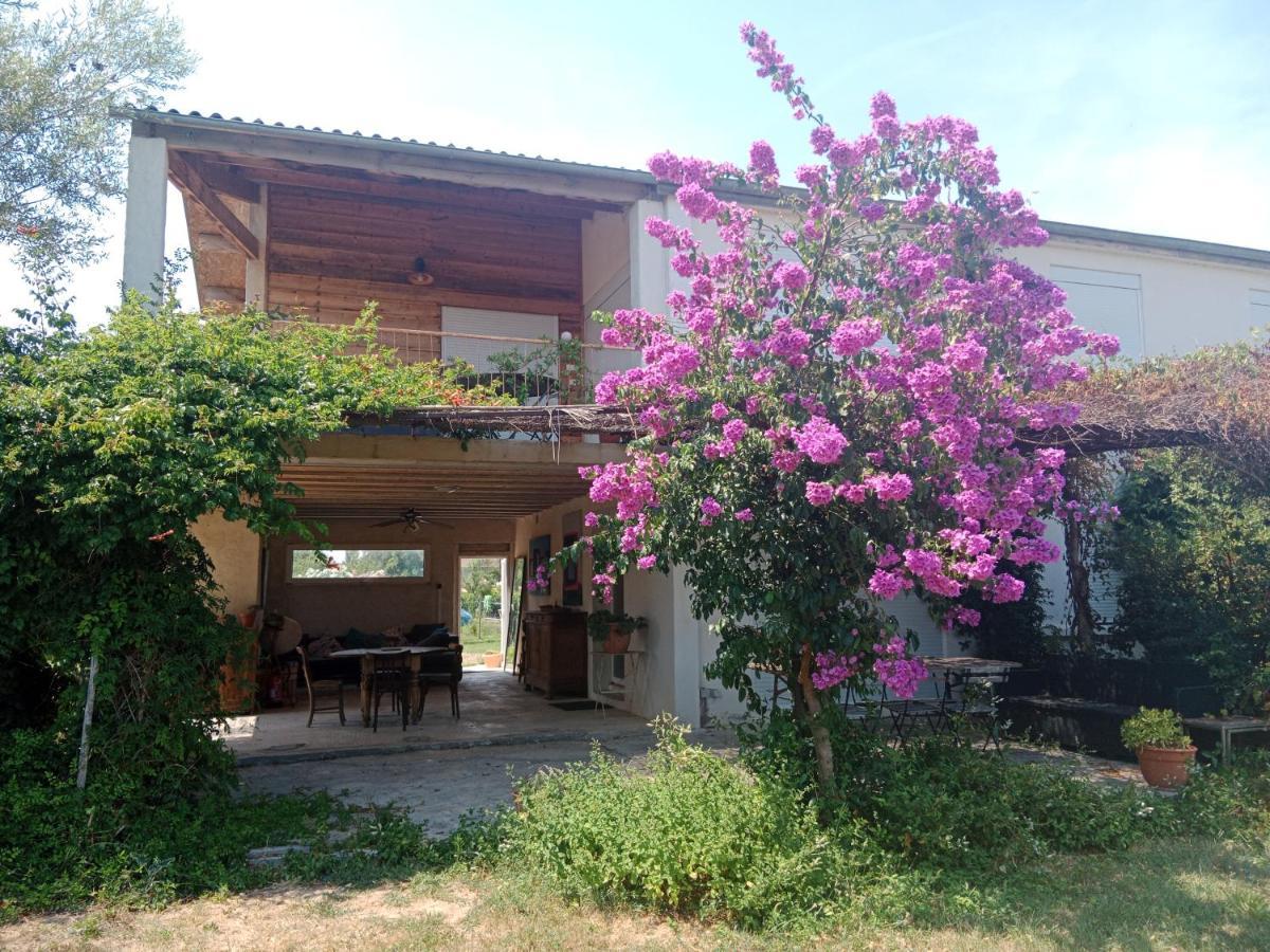 Domaine Limouzy Narbona Exterior foto