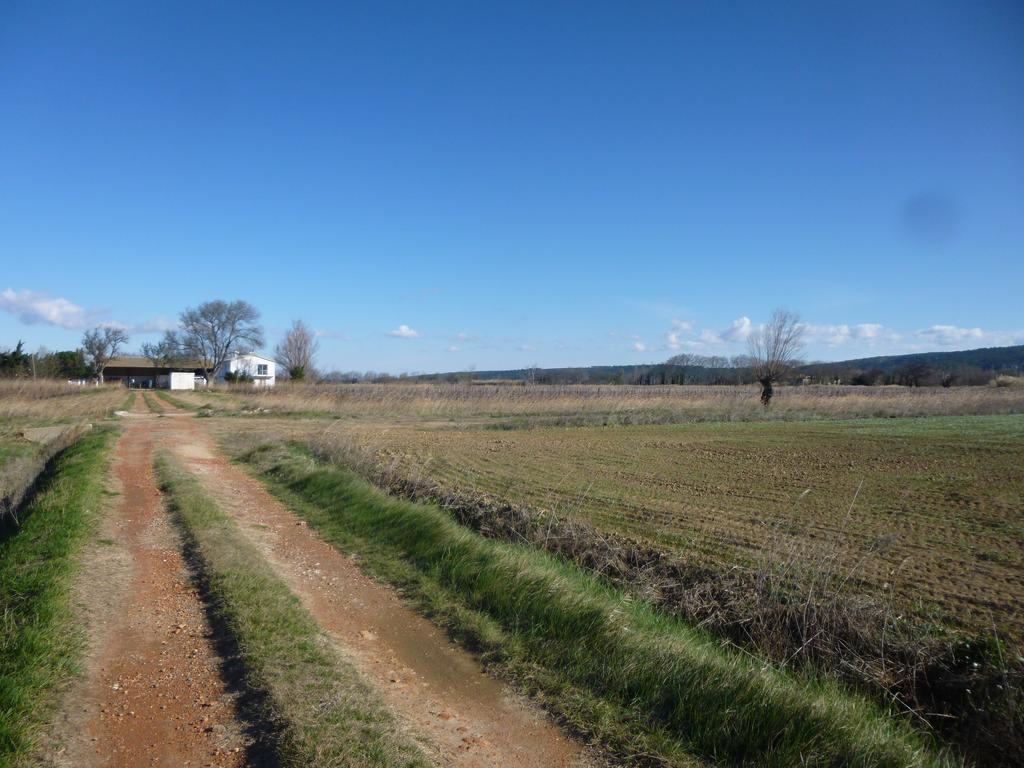 Domaine Limouzy Narbona Quarto foto