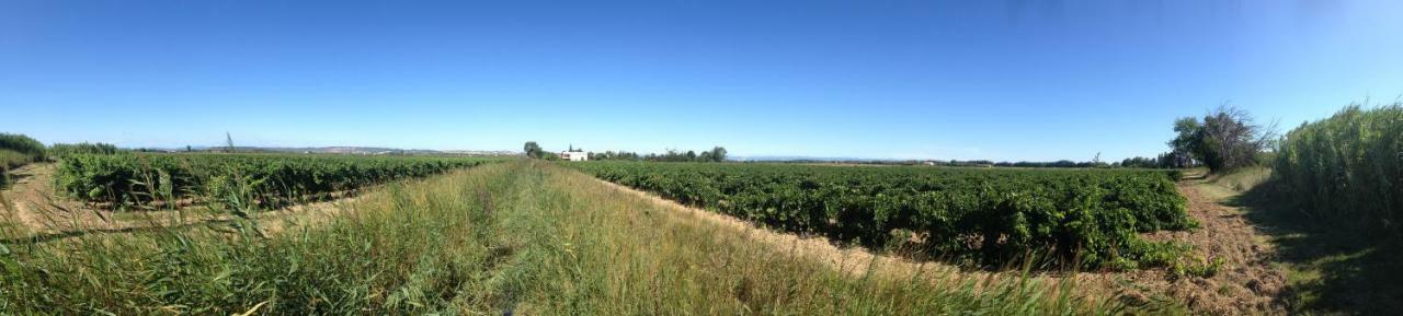 Domaine Limouzy Narbona Exterior foto