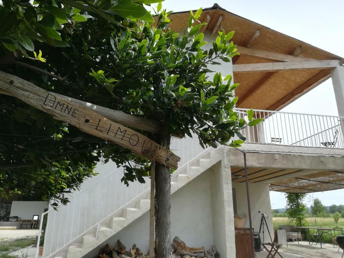Domaine Limouzy Narbona Exterior foto